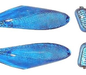 CABOCHONS NEXT BLEUS