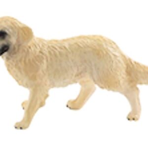 MINIATURE CHIEN GOLDEN-RE