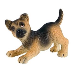 MINIATURE CHIOT BERGER