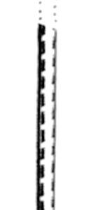 SANDOW 10 80CM